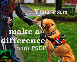 where can i get a psychiatric service help psychiatric service partners raise money where can i get a psychiatric service help psychiatric service partners raise money