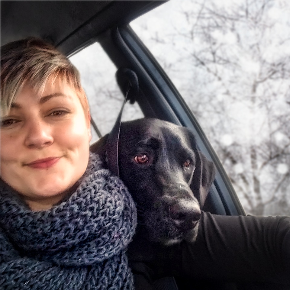 Service Dog Pics 2015 - Psychiatric Service Dog Partners