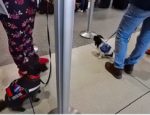 Amelia and Gigi in airline line with Kitten