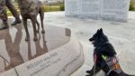 Dash at memorial