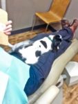 Kitten at the dentist