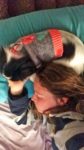 Lizzy and Kitten sweater sleepytime