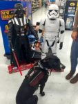 Phoenix with Star Wars display