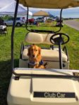 Ruby golf cart