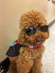 Skylar in shades