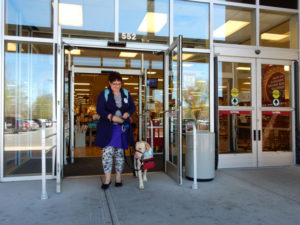 A service dog team exits a glass-fronted store with automatic doors. The person is an average sized white woman with short hair and the dog is a Labrador Retriever.