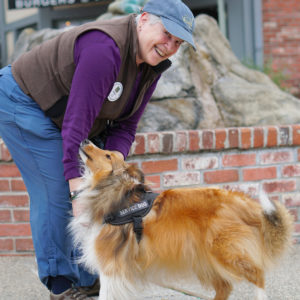 A woman sports a laughing smile as she bends at the waist down to pet her vest-wearing Sheltie, who stretches her neck up to enjoy the scratching.