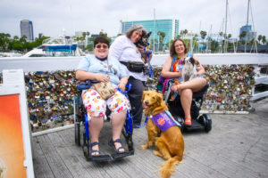 Three service dog teams of various ages and breeds, two of them in wheelchairs, smile joyfully for a picture at Shoreline Village with boat masts and building in the background and "love locks" on the short rail fencing just behind them.