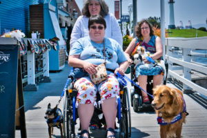 A woman in a wheelchair with a Golden on her left is being pushed by a woman with a Min Pin on her right. In the background a woman in a power wheelchair has two Japanese Chin on her lap. They are strolling down the boardwalk.