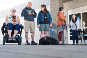 Three service dog handlers and two people chat outside a store.
