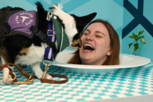 A corgi service dog investigates a laughing woman's head that appears to be in a bowl on a table.